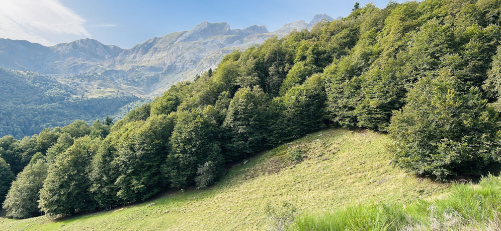 Vue sur la vallée vers le lac d'Estaens