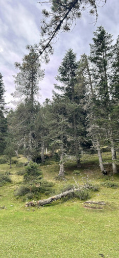 Randonnée vers le cirque de Gavarnie