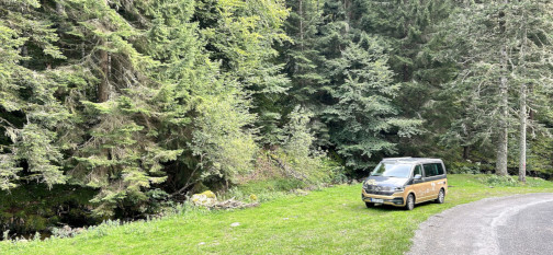 Au détours d'un route dans la forêt