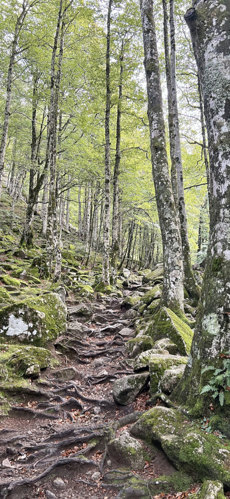 Randonnée vers la cascade d'Ars