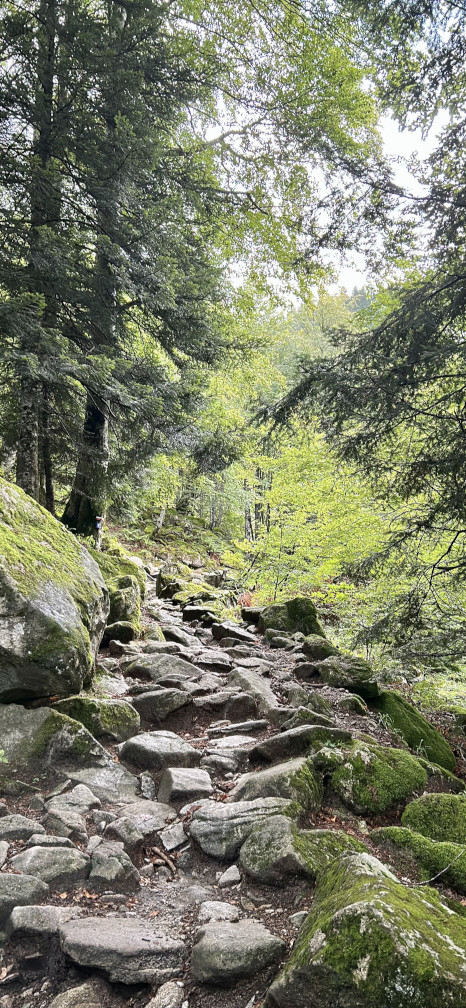Randonnée vers la cascade d'Ars