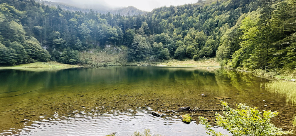 Etang de Guzet