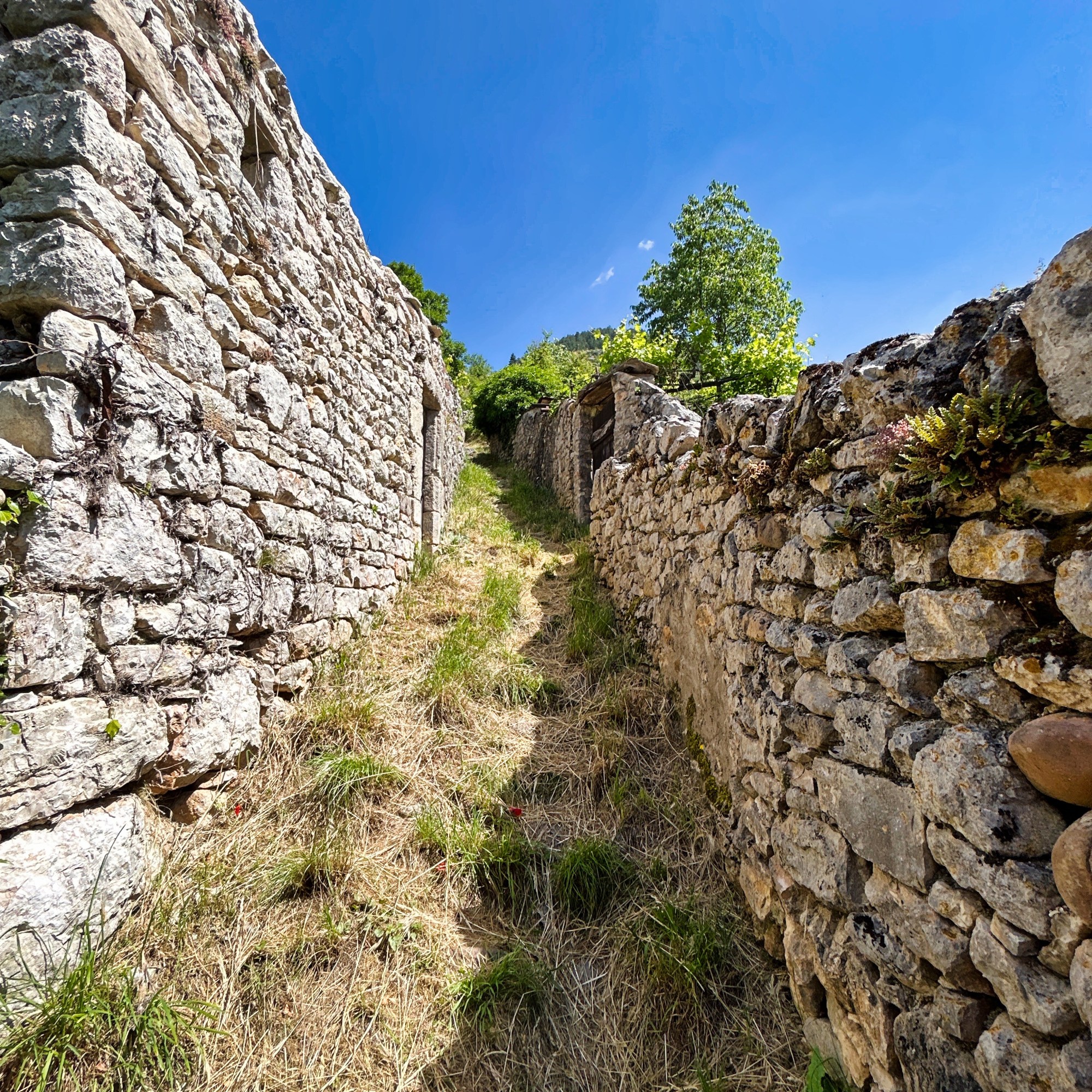 Départ en randonnée à La Malène