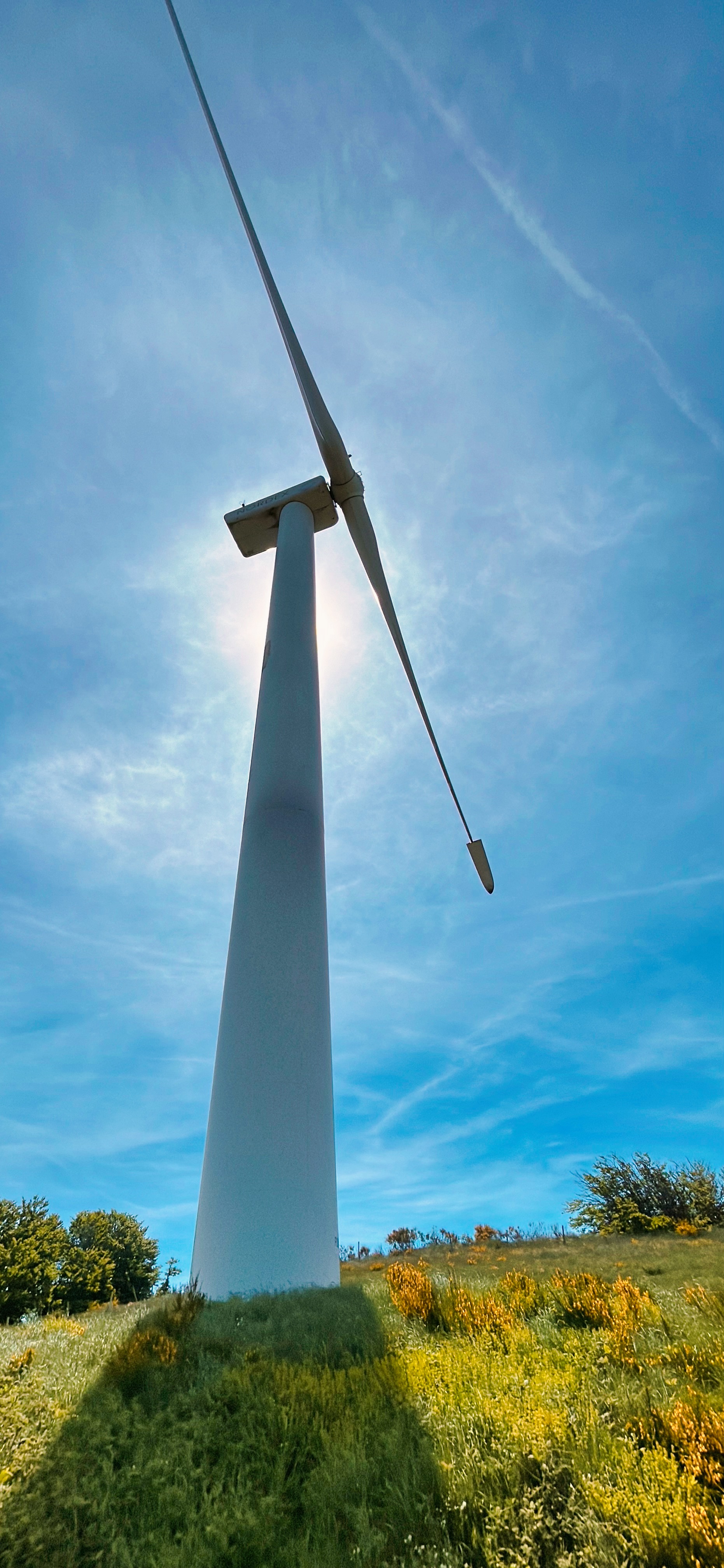 Champs d'éoliens sur le Mont Merdelou (1110 m)