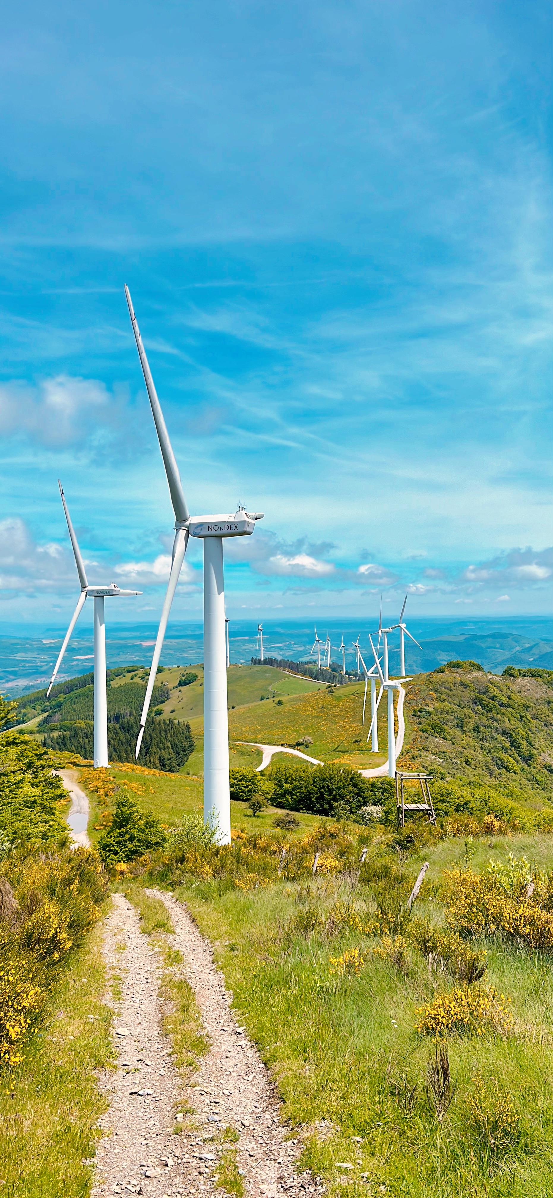 Champs d'éoliens sur le Mont Merdelou (1110 m)