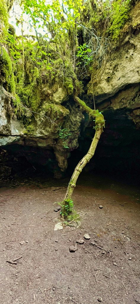 Les Failles de Canalettes