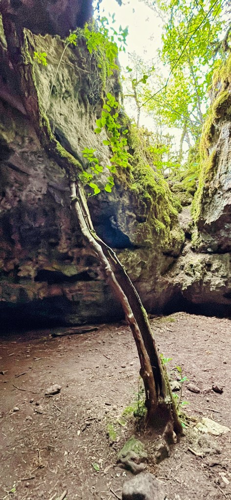 Les Failles de Canalettes