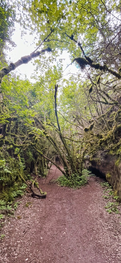 Les Failles de Canalettes