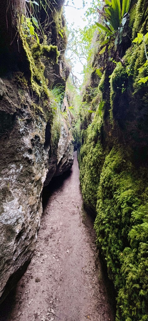 Les failles de Canalettes