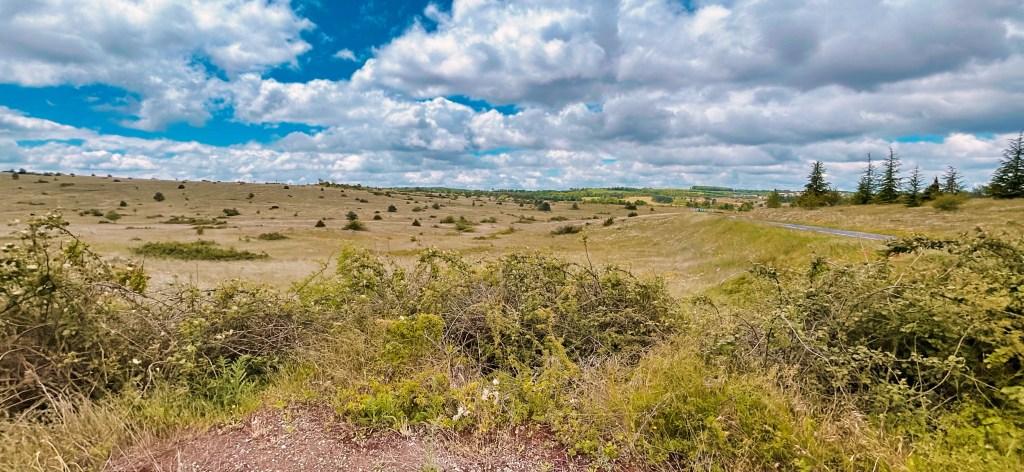 Plateau du Larzac