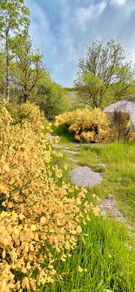 La Crête du Suquet, une vue incroyable sur les gorges de la Dourbie