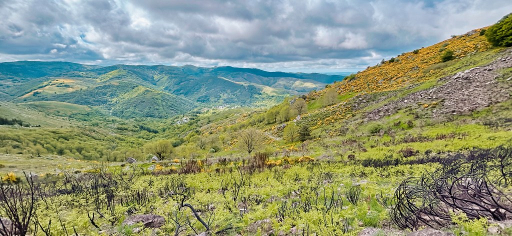 La Crête du Suquet, une vue incroyable sur les gorges de la Dourbie