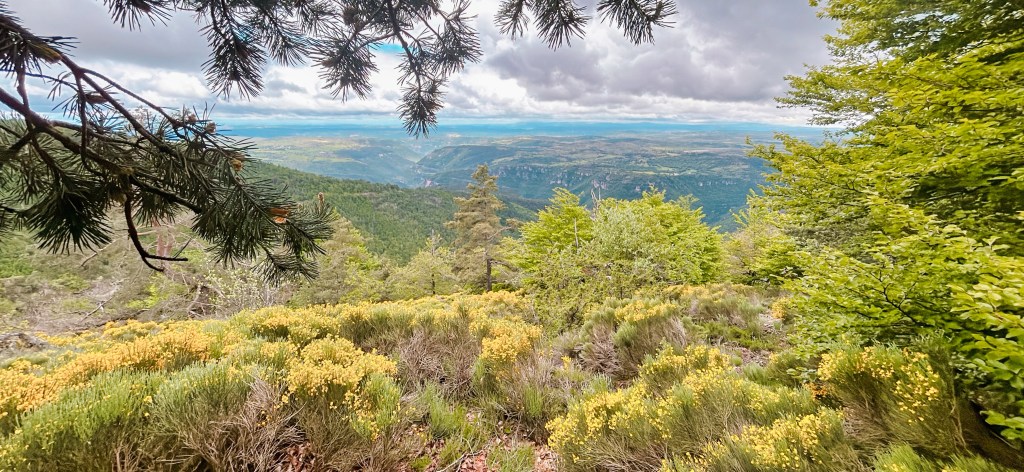 La Crête du Suquet, une vue incroyable sur les gorges de la Dourbie