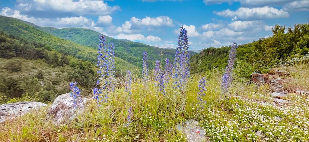 Sur les hauteurs de Trèves