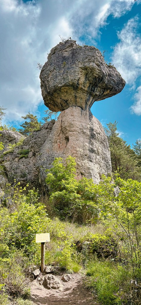 Tête d'Ours - Cité de la Pierre