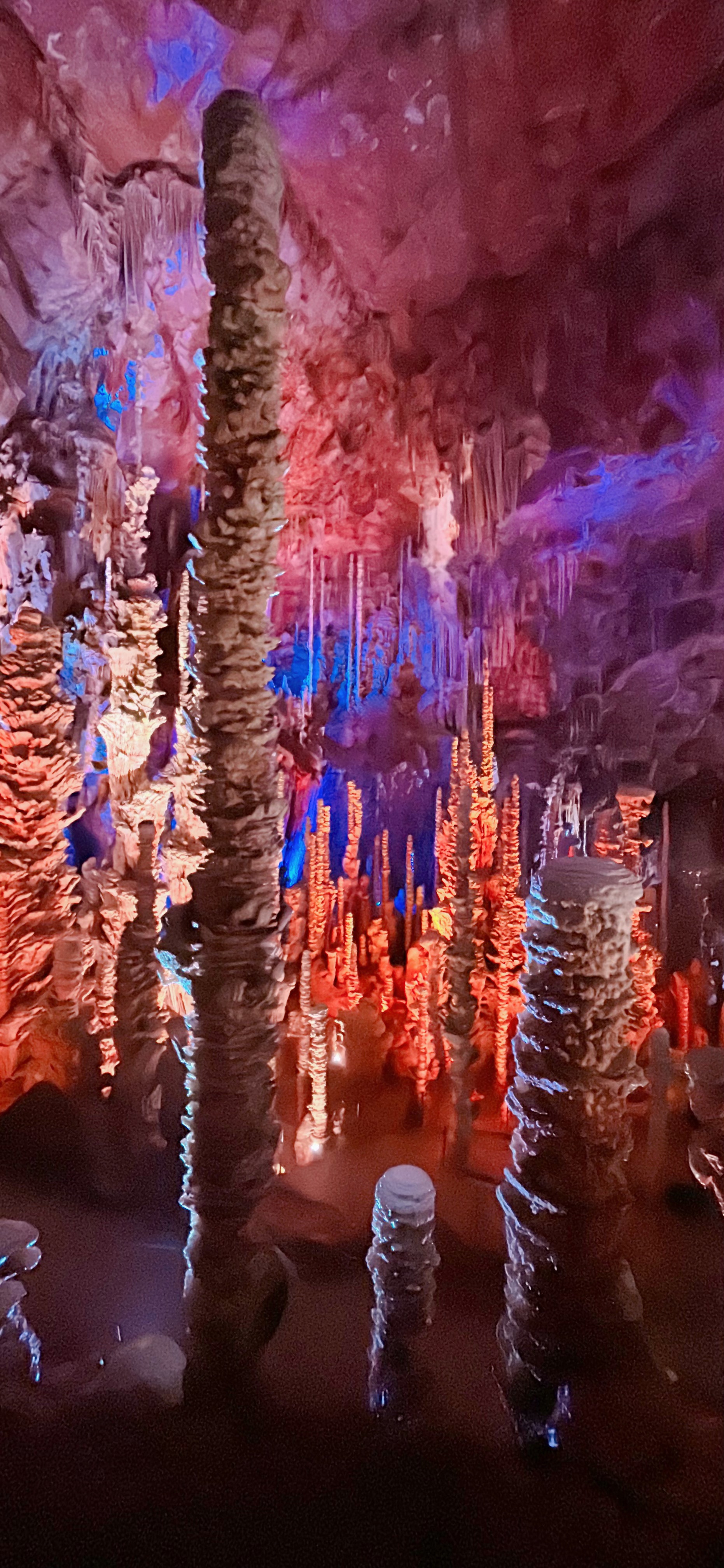 la grotte d’Aven Armand.