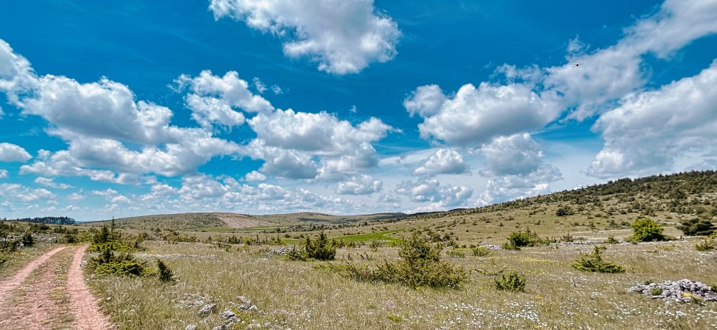 les Causse Méjean