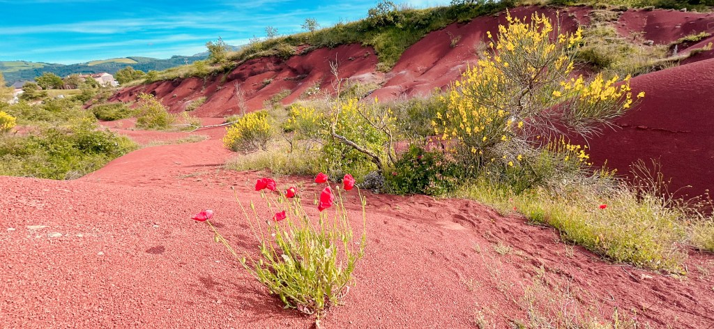 Le Rougier de Camarès