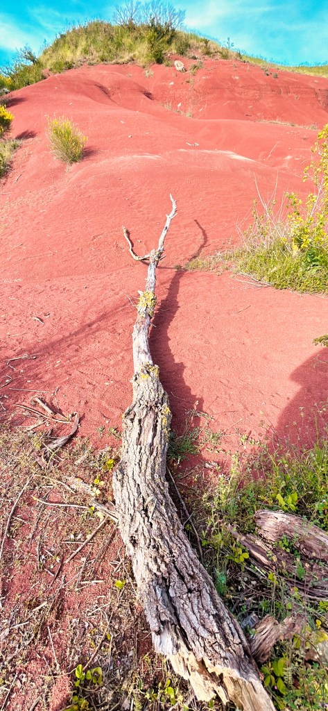 Le Rougier de Camarès