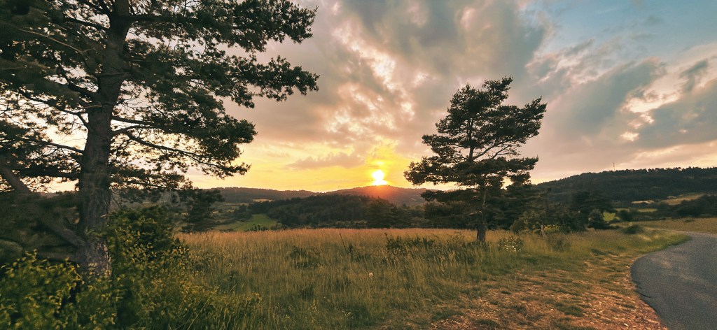 Spot nature au couché de soleil