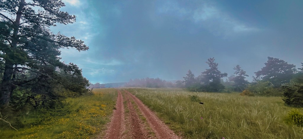 Sur les hauteurs de la Malène