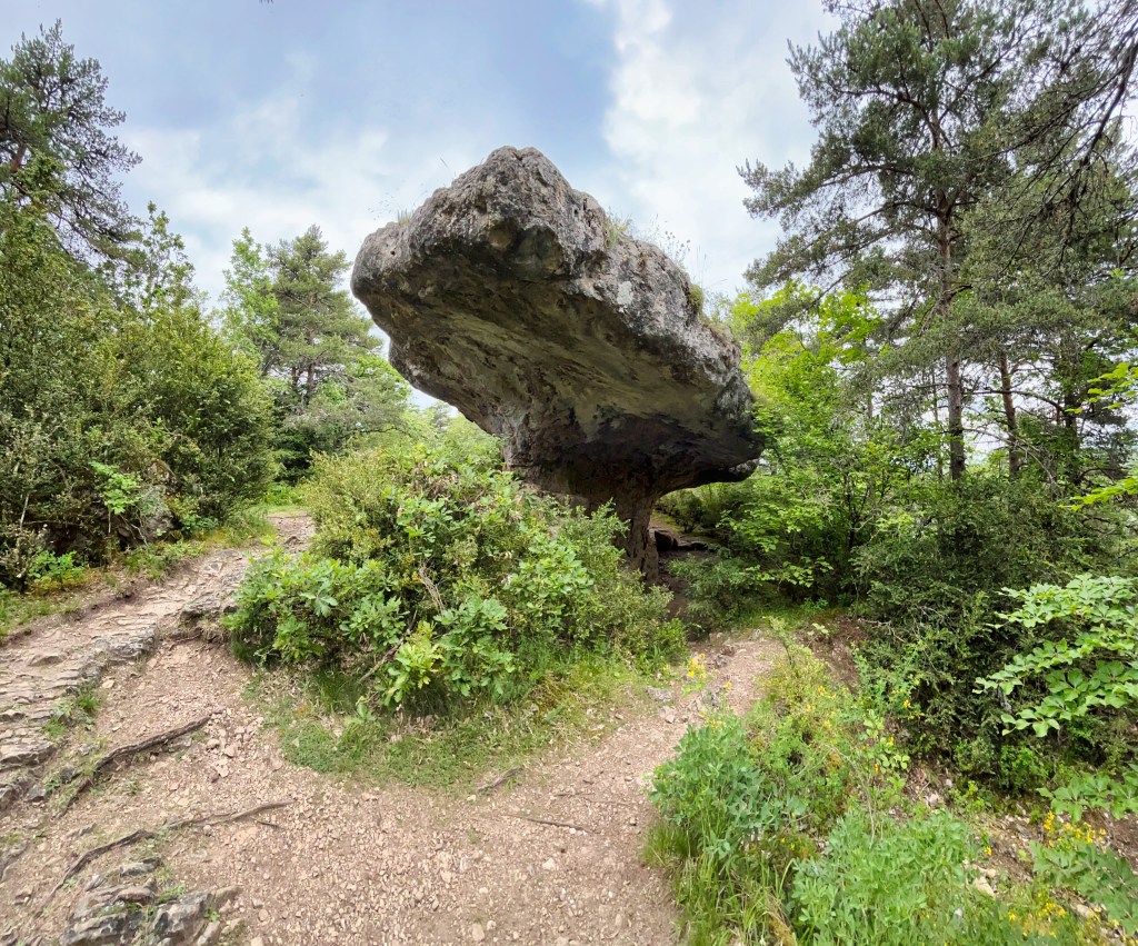 Le Champignon Préhistorique