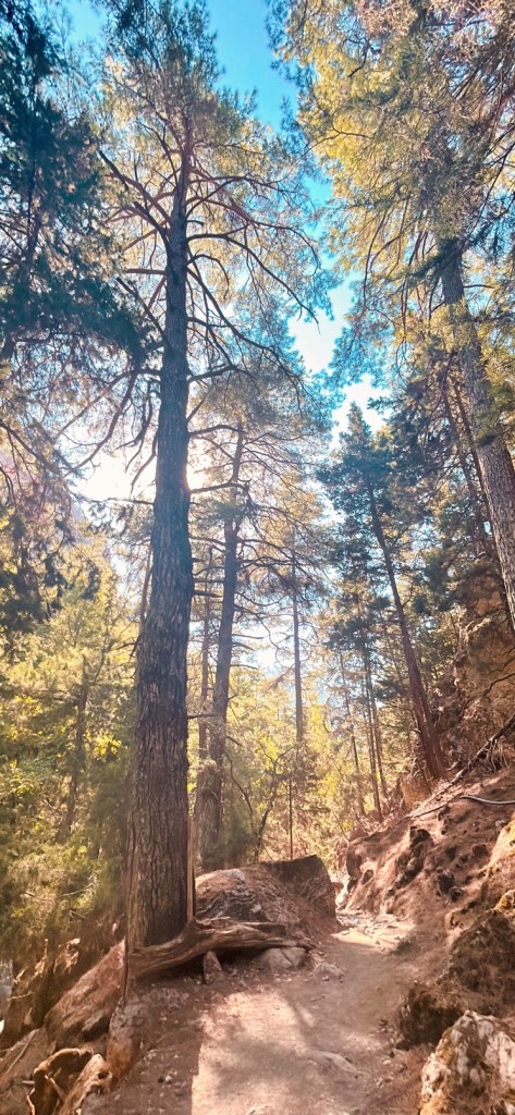 Randonnée dans les gorges de Samaria