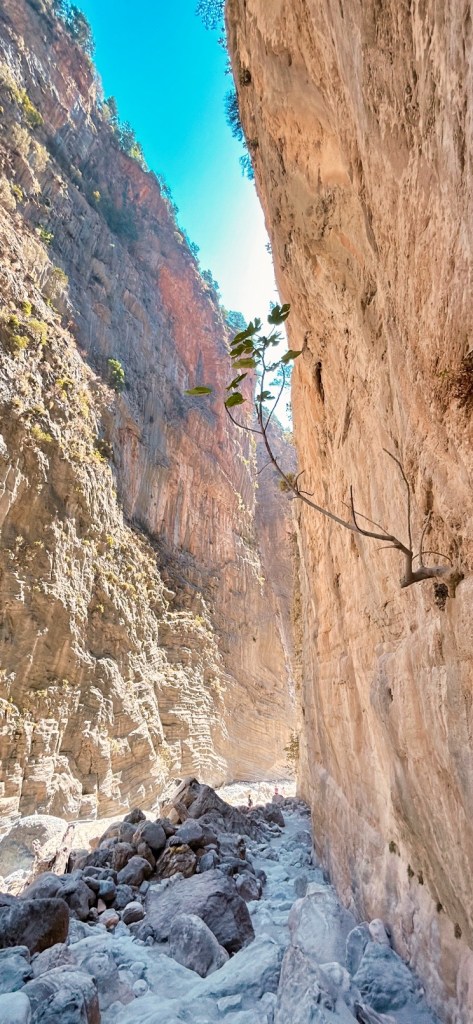 Randonnée dans les gorges de Samaria