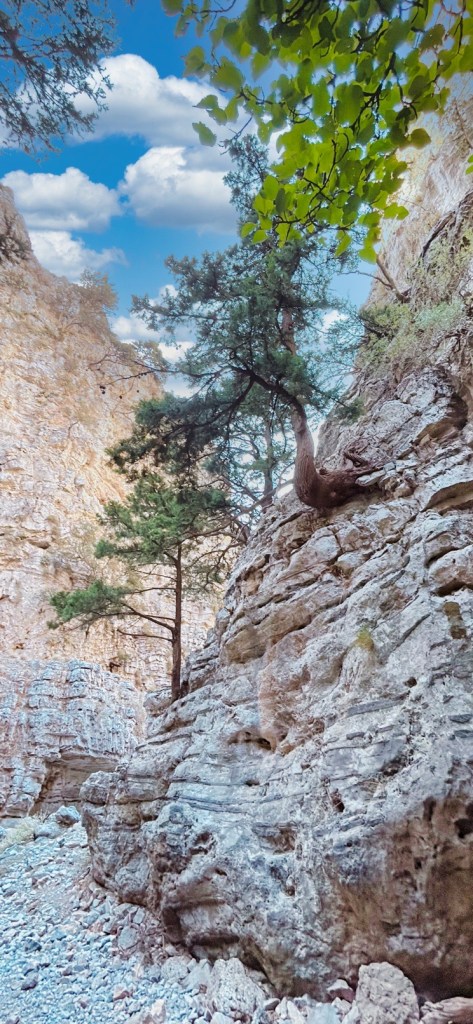 Randonnée à travers les gorges d'Imbros