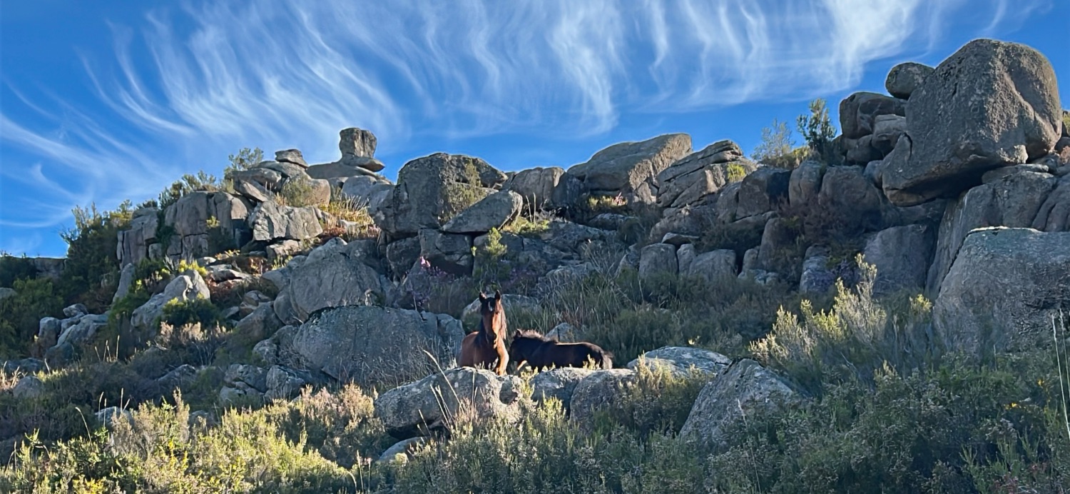 Sept Lagons de Peneda-Gerês : eaux cristallines en altitude.