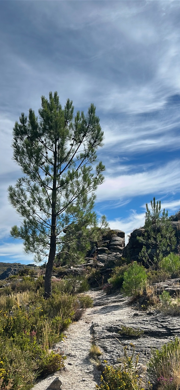 Sept Lagons de Peneda-Gerês : eaux cristallines en altitude.