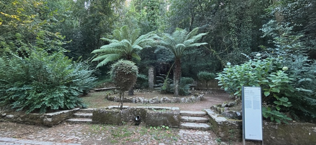 L'incroyable diversité du parc Buçaco