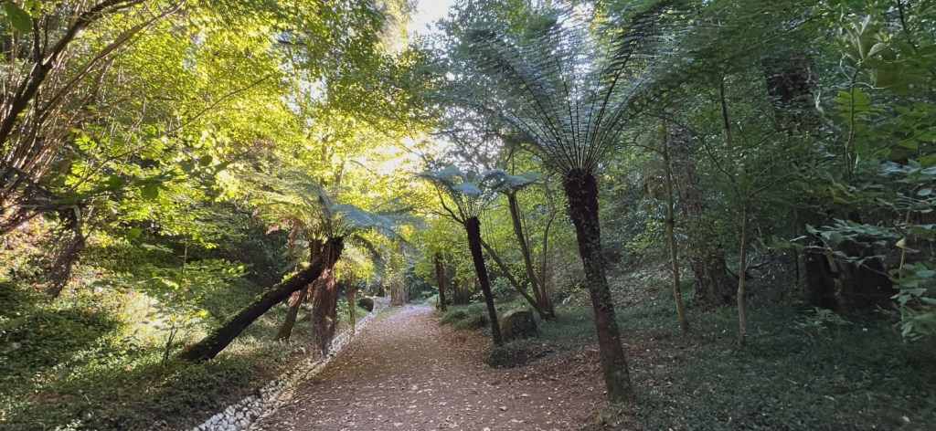 L'incroyable diversité du parc Buçaco