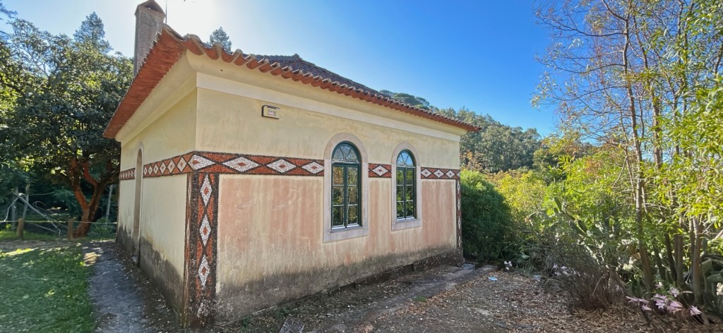 L'incroyable diversité du parc Buçaco