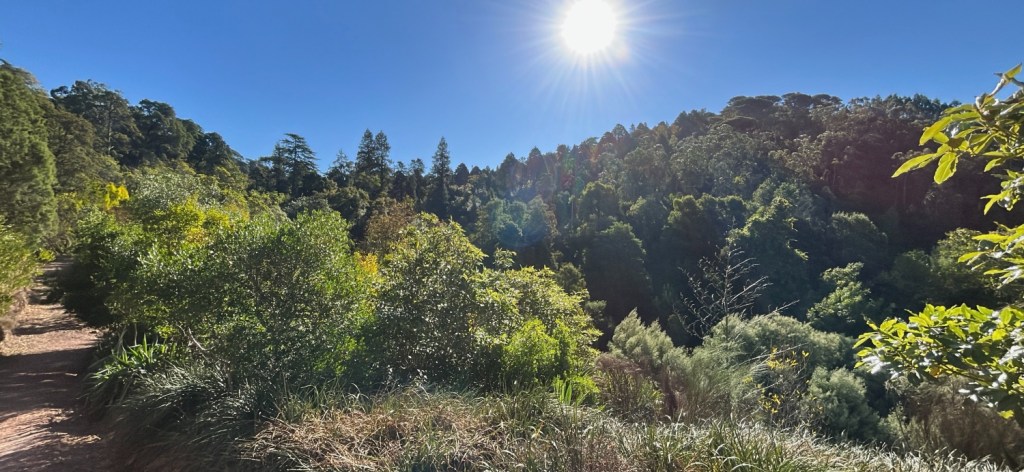 L'incroyable diversité du parc Buçaco