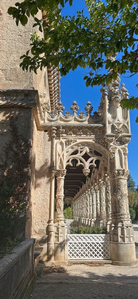 L'incroyable diversité du parc Buçaco