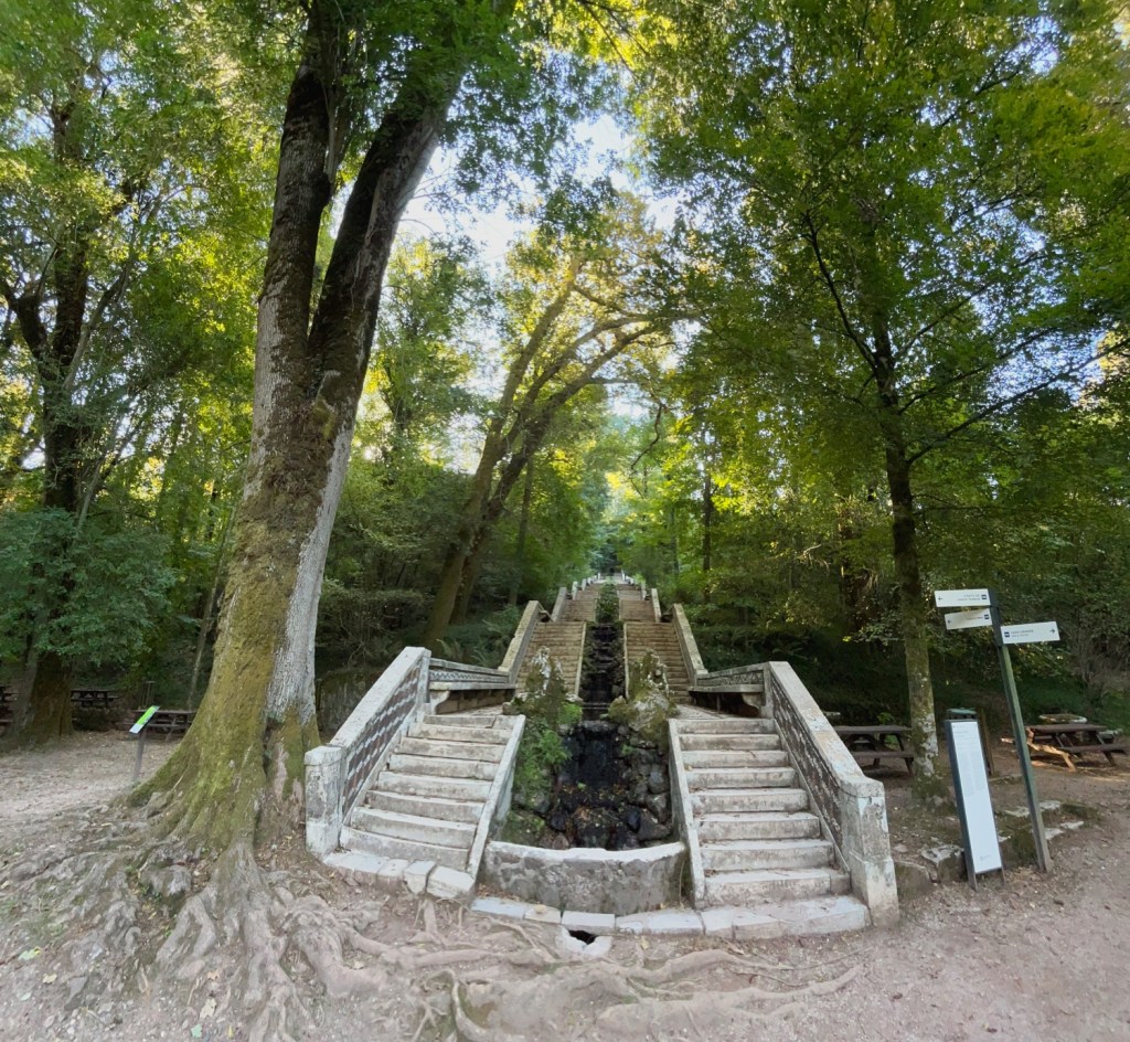 L'incroyable diversité du parc Buçaco