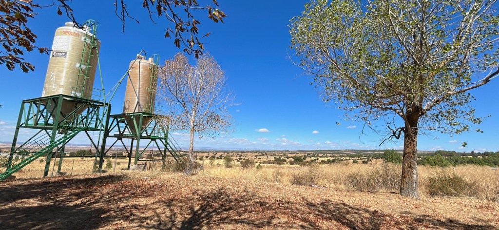 Sur la route de Burgos