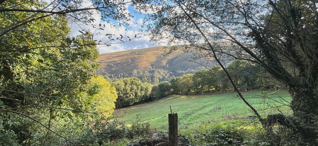 Vallées du Nansa et du Saja dans un écrin de verdure de l'Espagne verte