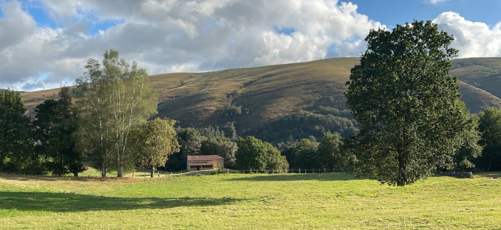 Vallées du Nansa et du Saja dans un écrin de verdure de l'Espagne verte