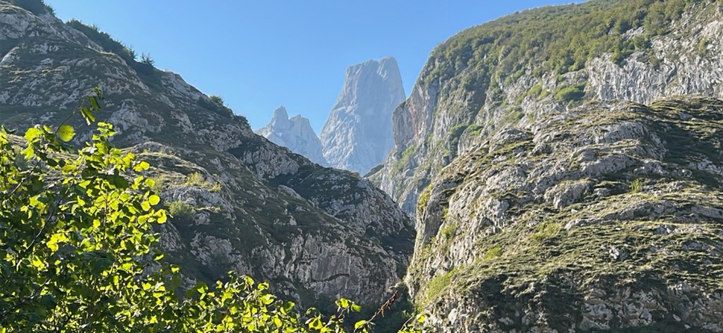 Vue sur le Pico del Europa