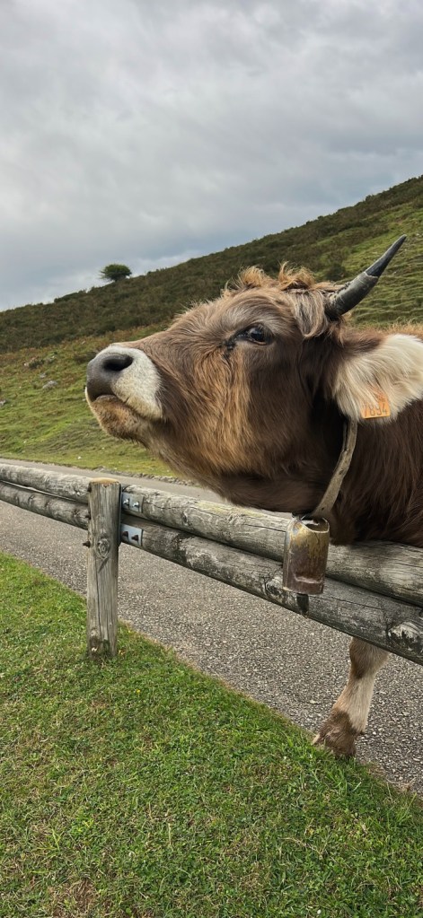 Lacs de Covadonga enveloppés de brume.