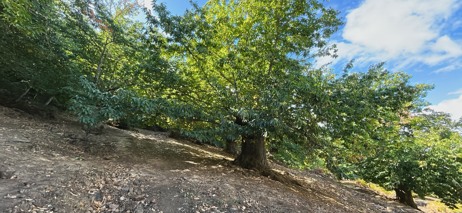 Classé au patrimoine mondial de l’UNESCO, Las Modulas offre un spectacle naturel saisissant, malgré les incendies de 2025.