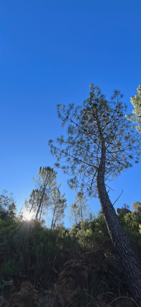Cascata do Arado au départ de Louredo