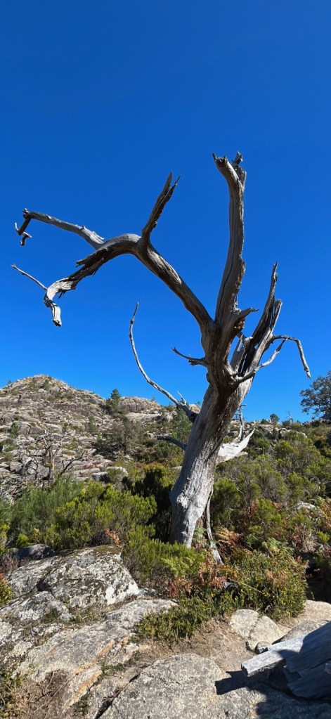 Cascata do Arado au départ de Louredo