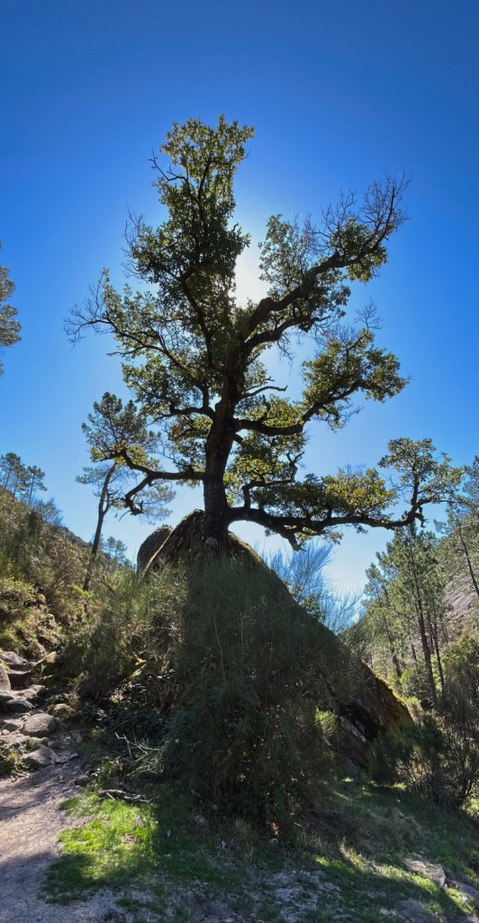 Cascata do Arado au départ de Louredo