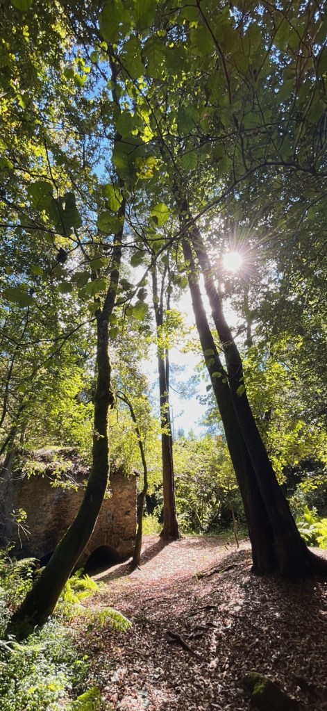 Parque da Fonte do Estanislau