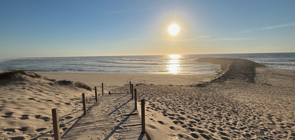 Praia do Areão, la beauté à l'état sauvage