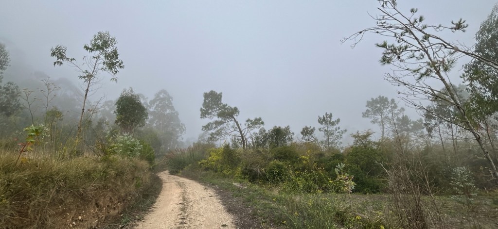 Randonnée à travers la Serra da Boa Viagem