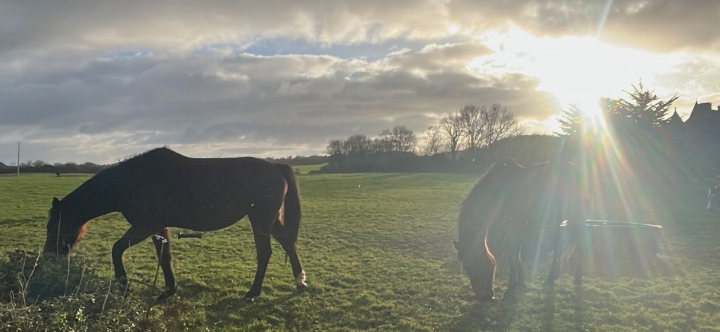 La vallée des Moulins au Cap Lévi